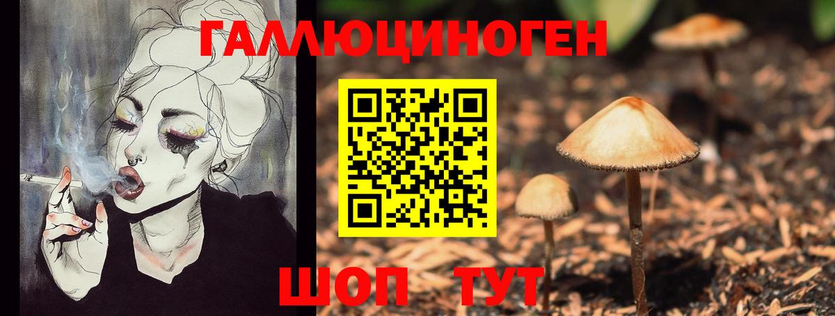 Псилоцибиновые грибы мицелий Керчь